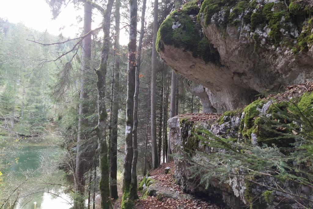 Gîte du Fourpéret-Parc Naturel du Haut-Jura Longevilles-Mont-dʼOr Exterior foto